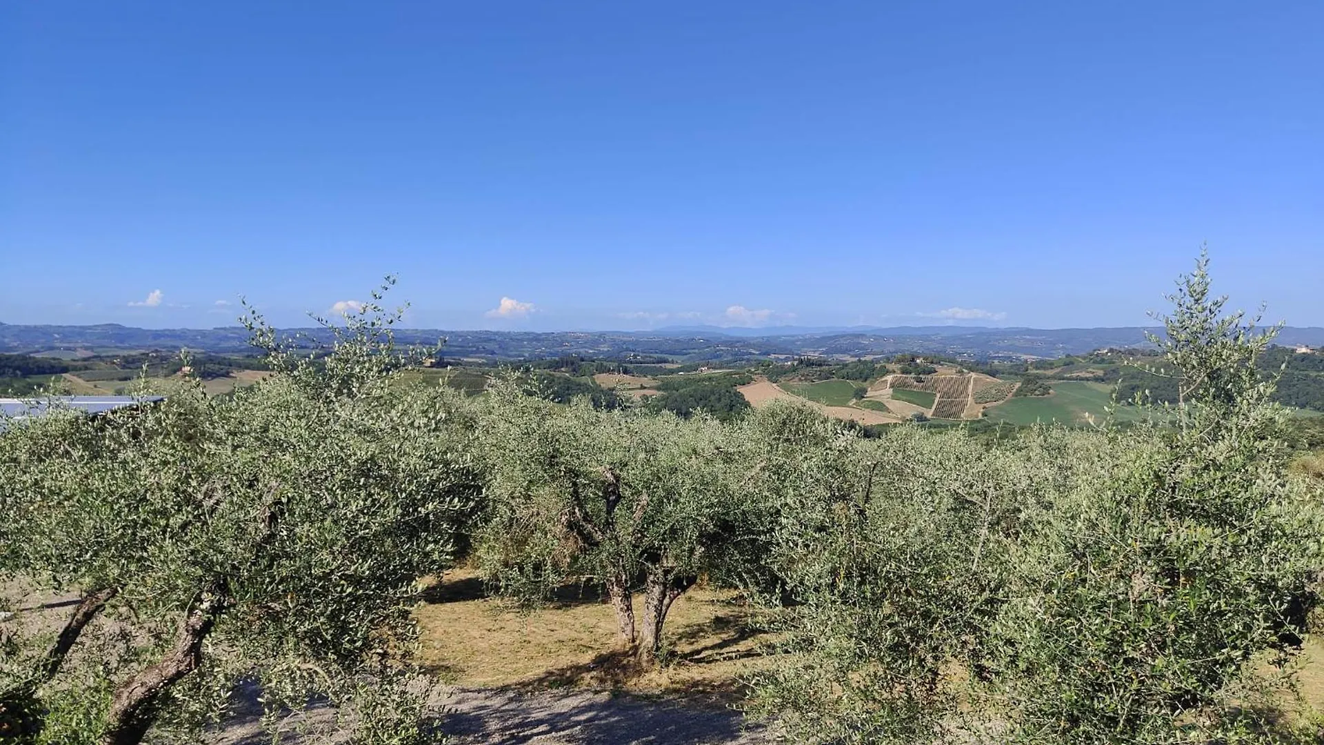 Il Sogno Di Andrea Villa San Gimignano Italy