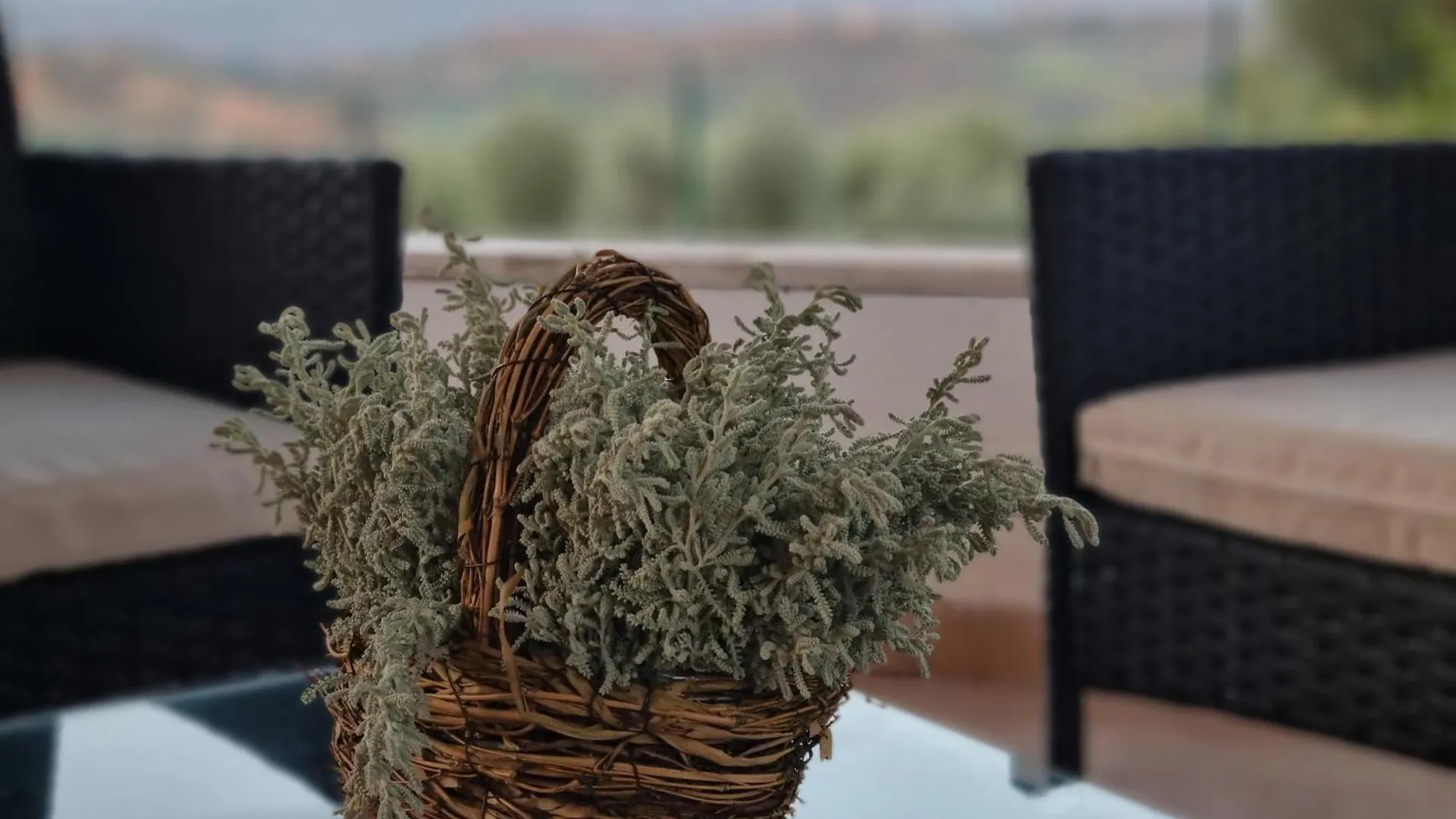 Il Sogno Di Andrea Villa San Gimignano